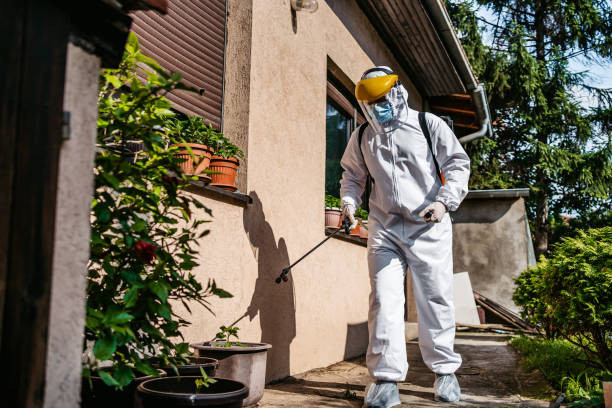 Best Rat Extermination Near Me  in Altavista, VA