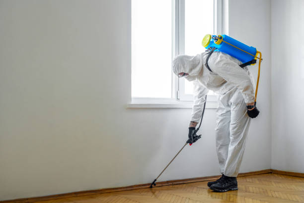 Best Pest Inspection Near Me  in Altavista, VA