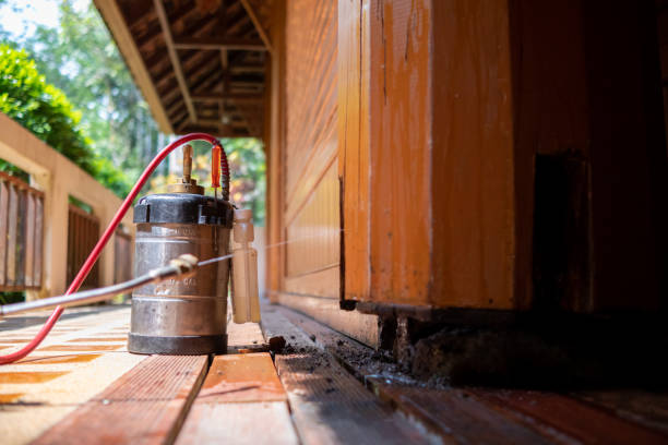 Best Affordable Pest Control Services  in Altavista, VA